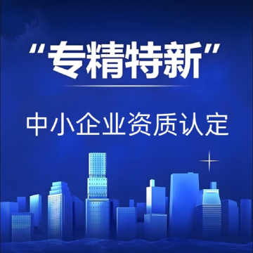 湛江专精特新